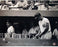 Yogi Berra in Dugout w/ Roger Maris B&W Horizontal 16x20 Photo (Signed by Regan) (MLB Auth)