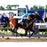 Victor Espinoza Signed American Pharoah Finish Line Celebration 2015 Belmont Stakes 8x10 Photo