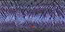 Sulky Metallic Thread-Blue