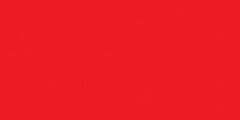 Elastic Thread 11 Yards-Red