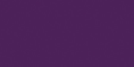 All-Purpose Plastic Zipper 9"-Purple