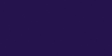 All-Purpose Plastic Zipper 16"-Deep Purple