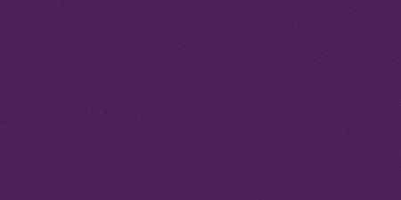 All-Purpose Plastic Zipper 14"-Purple