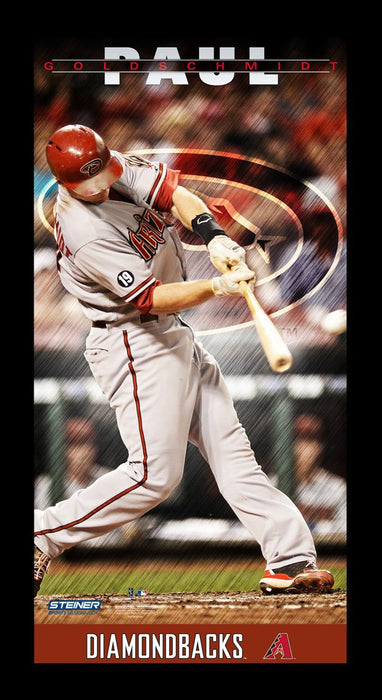 Paul Goldschmidt Arizona Diamondbacks Player Profile Wall Art 9.5x19 Framed Photo