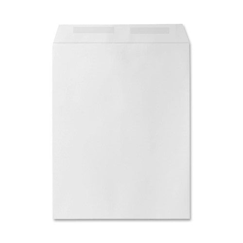 Sparco Products Catalog Envelope, Plain, 28lb, 10"x13", 250/BX, White