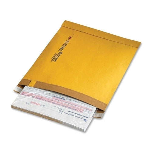 Sealed Air Corporation Utility Mailers, Dual-ply, 9"x12", 100/CT, Gold