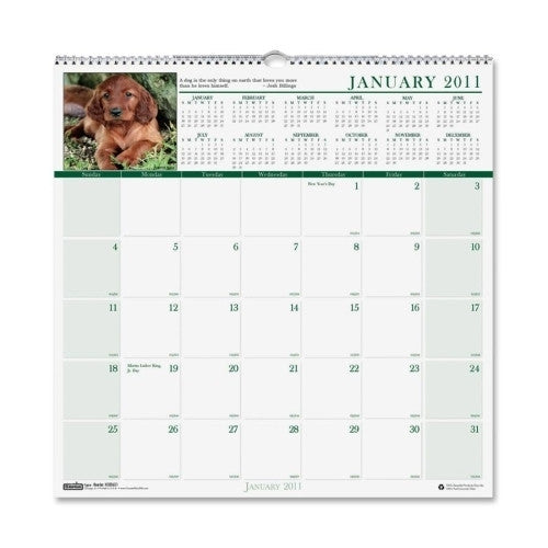 House of Doolittle Wall Calendar,Wirebound,"Puppies",12 Month,Jan-Dec,12"x12"