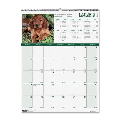 House of Doolittle Wall Calendar,Wirebound,"Puppies",12 Month,Jan-Dec,12"x16-1/2"