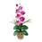 Single Stem Phalaenopsis Silk Orchid Arrangement