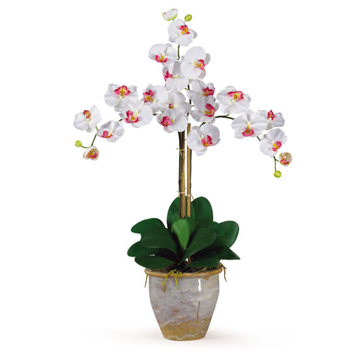 Triple Stem Phalaenopsis Silk Orchid Arrangement