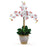 Triple Stem Phalaenopsis Silk Orchid Arrangement