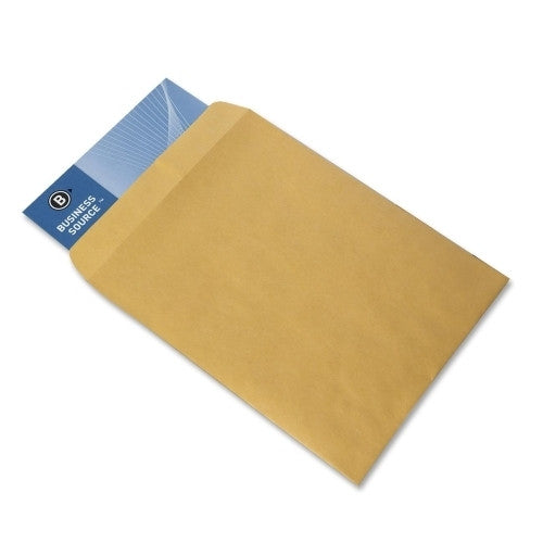 Business Source Catalog Envelopes, Plain, 9"x12", 250/BX, Kraft