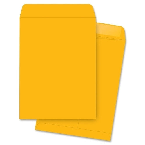 Business Source Catalog Envelopes, Plain, 10"x13", 250/BX, Kraft