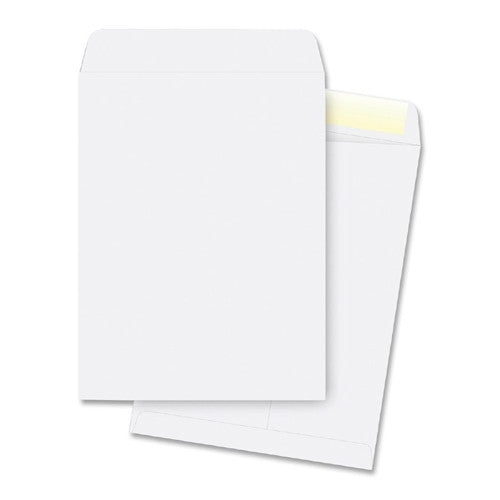 Business Source Catalog Envelopes, Plain, 28Lb., 9"x12", 250/PK, WE