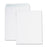 Business Source Catalog Envelopes,Removable Strip,No.10,10"x13", 100/BX,WE