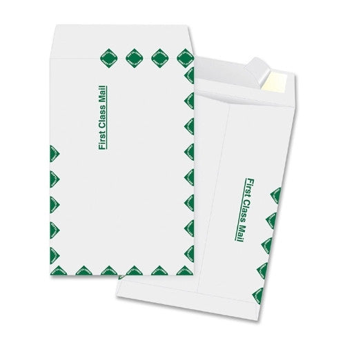 Business Source Catalog Envelopes, First Class, 6" x 9", 100/BX, White