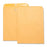 Business Source Hvy-duty Clasp Envelopes,11-1/2"x14-1/2",100/BX,Brown Kraft