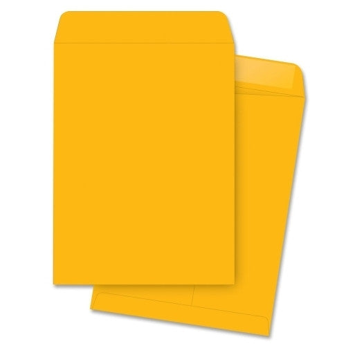 Business Source Catalog Envelopes, Plain, 9-1/2"x12-1/2", 250/BX, Kraft