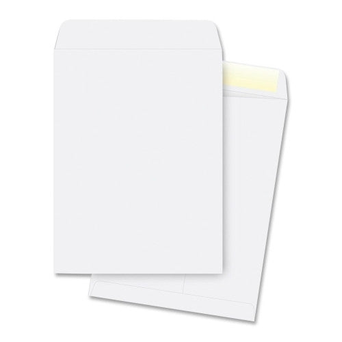 Business Source Catalog Envelopes, Plain, 28Lb., 9-1/2'x12-1/2", 250/PK, WE