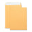 Business Source Catalog Envelopes,Self Seal,Plain,9"x12",250/BX,Kraft