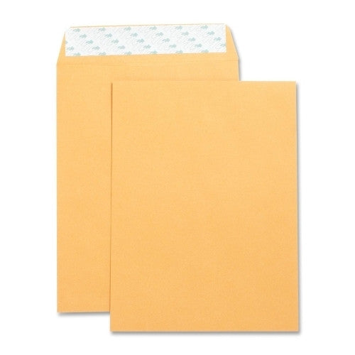 Business Source Catalog Envelopes,Self Seal,Plain,9"x12",250/BX,Kraft