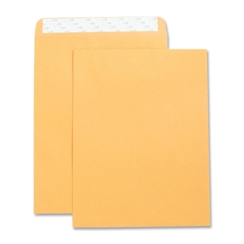 Business Source Catalog Envelopes,Self Seal,Plain,10"x13",250/BX,Kraft