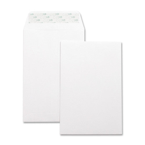 Business Source Catalog Envelopes,Self Seal,Plain,6"x9",100/BX,White Wove