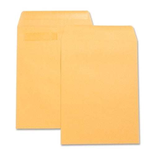 Business Source Catalog Envelopes,w/Adhesive Strip,Plain,9"x12",100/BX,Kft