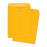 Business Source Clasp Envelopes, Heavy-Duty, 10"x13", 100/BX, BKFT