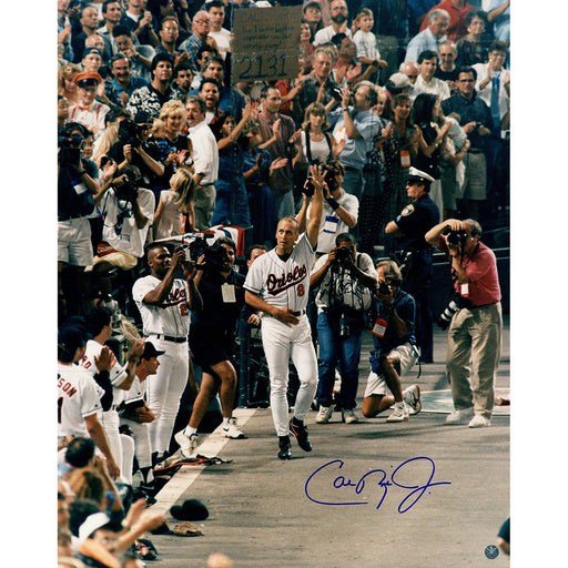 Cal Ripken Jr Signed 2131 game wave 16x20 Photo (Ripken Holo)