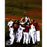 Boston Red Sox Multi Signed 2013 WS Celebration Vertical 16x20 Photo (MLB Auth) (11 Sigs)