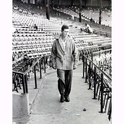 Ted Williams Walking Through Stadium Metallic 11x14 Photo