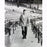Ted Williams Walking Through Stadium Metallic 11x14 Photo