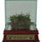 Authentic Wrigley Field Freeze Dried Sod w Glass Display Case