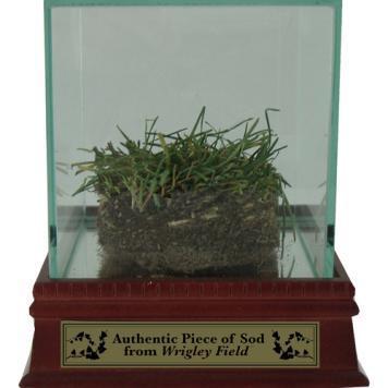 Authentic Wrigley Field Freeze Dried Sod w Glass Display Case