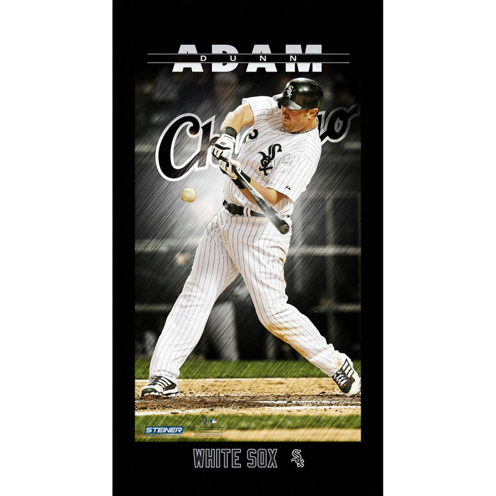 Adam Dunn Chicago White Sox Player Profile Wall Art 9.5x19 Framed Photo