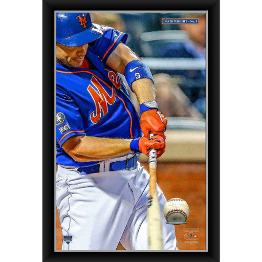 David Wright 20x32 Baseball Holder Display w Game-Used Baseball (baseball is removable)