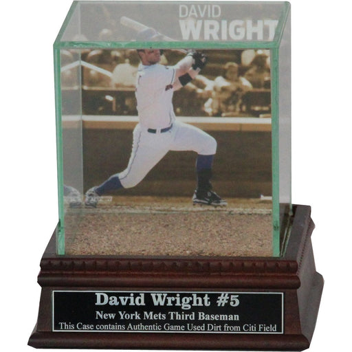 David Wright Batting Background Glass Single Baseball w Citi Field Authentic Dirt & Nameplate