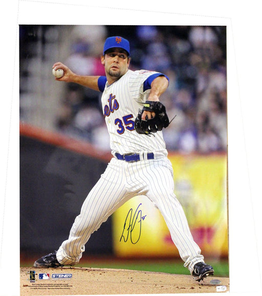 Dillon Gee New York Mets pins. Jersey Pitching Vertical 16x20 Photo (MLB Auth)