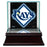 Tampa Bay Rays Glass Single Baseball Case with Team Logo Background