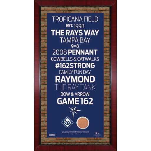 Tampa Bay Rays Subway Sign 16x32 Frame w auth Dirt from Tropicana Field