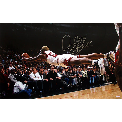 Dennis Rodman Diving For Loose Ball 20x32 Signed Photo