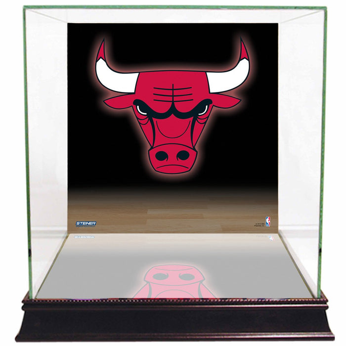 Chicago Bulls Logo Background Case