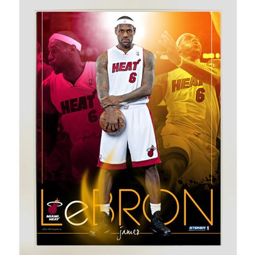 LeBron James Miami Heat Team Colors Composite Vertical Framed 11x14 Collage