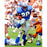 Barry Sanders Lions 8x10 Photo (PF- AAFX024)
