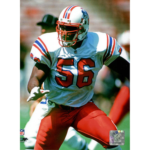 Andre Tippet New England Patriots 8x10 Photo (PF)