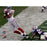 Amani Toomer Super Bowl XLII Catch in Bounds 8x10 Photo