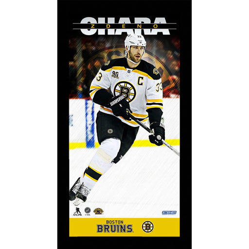 Zdeno Chara Player Profile 10x20 Framed Photo