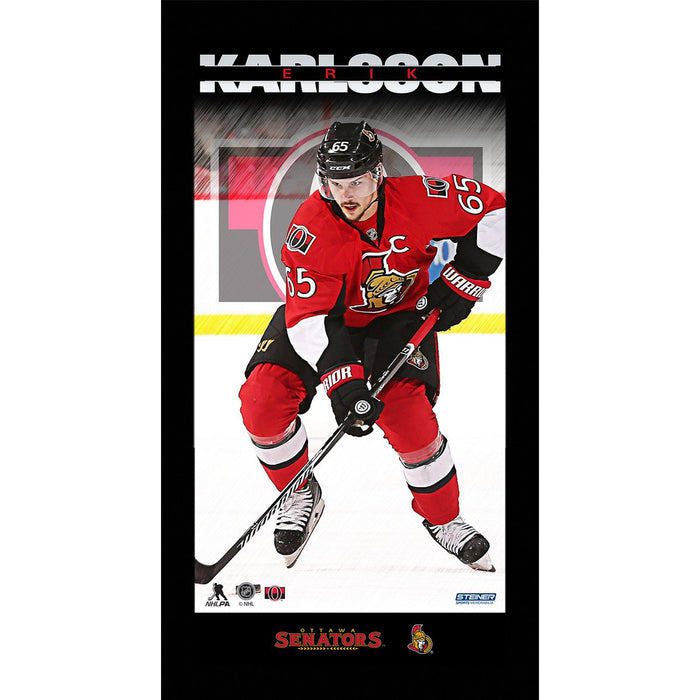 Erik Karlsson Player Profile 10x20 Framed Photo