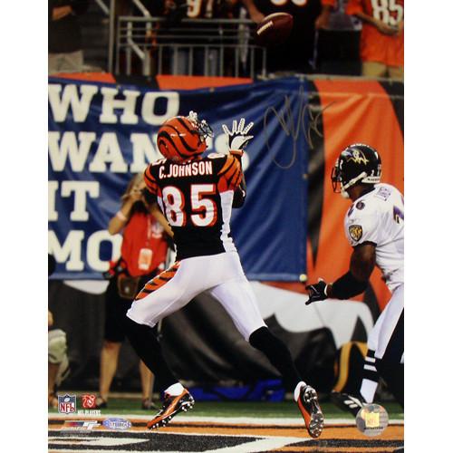 Chad Johnson Touchdown vs Ravens 11x14 Photo